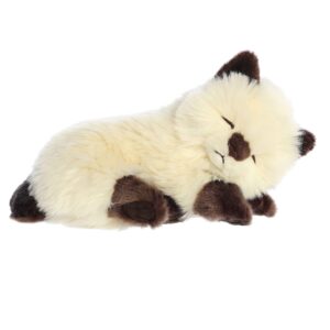 Peluche Gato Himalaya