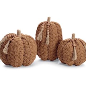 Calabaza Trenzas Mediana