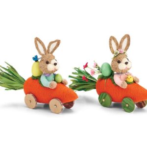 Conejo o Coneja Carro Zanahoria