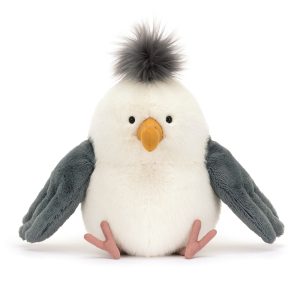 Chip Gaviota