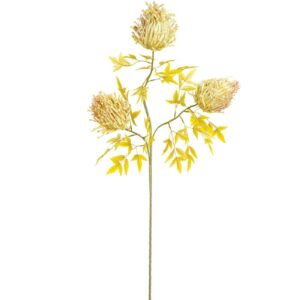 Botánica 38"