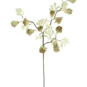 Botanica  40”