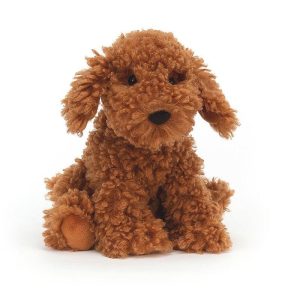 Perro Doodle Cooper