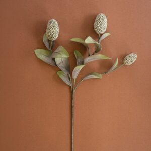 Botanica 48"