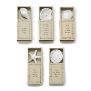 Mini Conchas de Porcelana