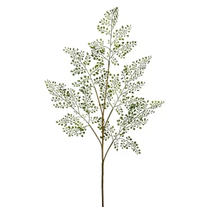 Spray de Culantrillo