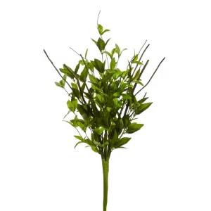 Spray de Arbusto Verde