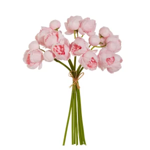 Flor Peonias Ramo Rosa