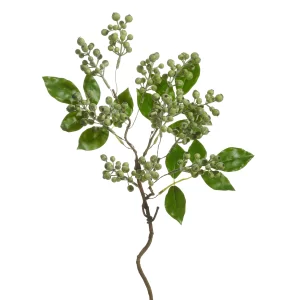 Spray de Bayas Verdes