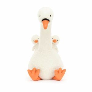 Cisne Plumoso