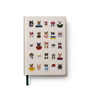 Diario Gato