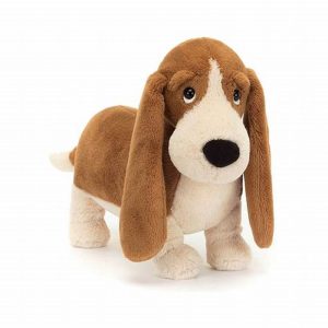Randall Basset Hound