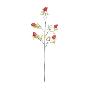 Rama Fresas