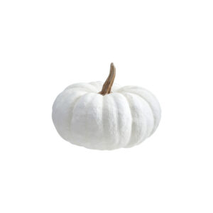 Calabaza Resina Blanca