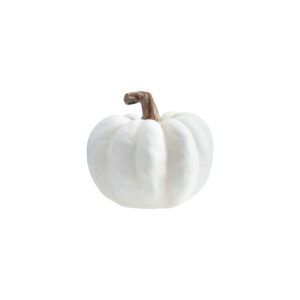 Calabaza de Resina M