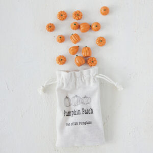 Mini Calabaza de Resina en Bolsa de Tela con Cordon 25 Unidades